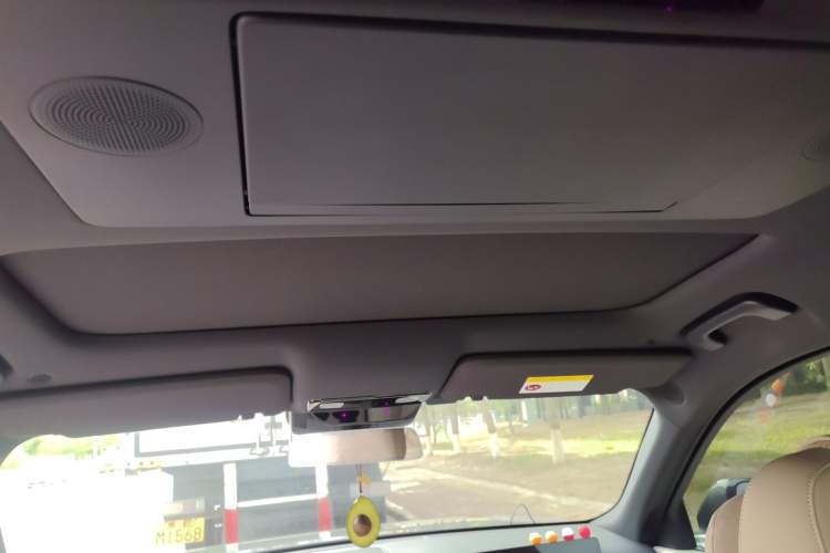 Used Li Auto L9 2022 Max model Headliner