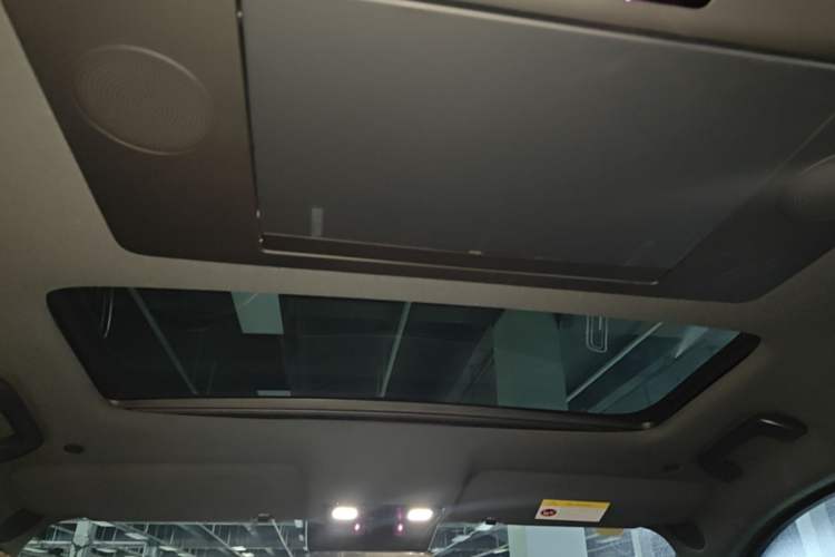 Used Li Auto L9 2022 Max model Headliner