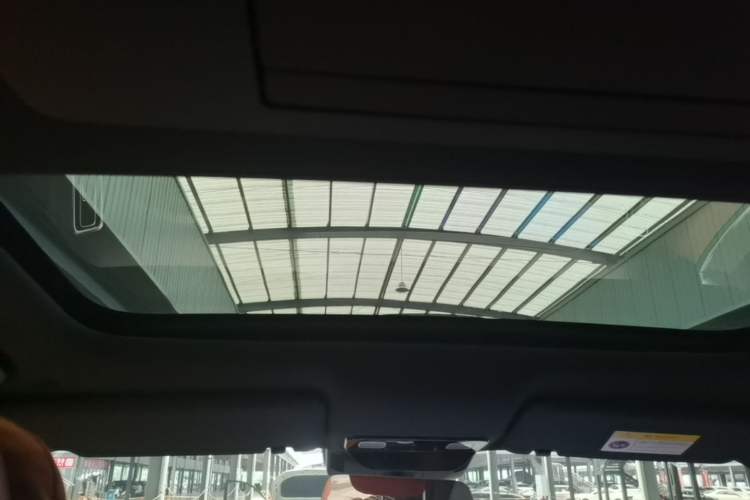 Used Li Auto L9 2022 Max model Headliner
