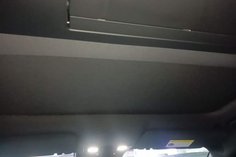 Used Li Auto L9 2022 Max model Headliner