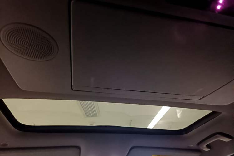 Used Li Auto L9 2022 Max model Headliner