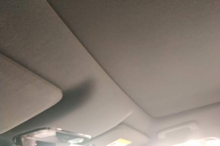 Used Li Auto L9 2022 Max model Headliner