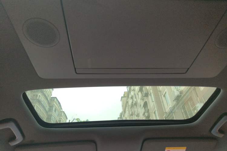 Used Li Auto L9 2022 Max model Headliner