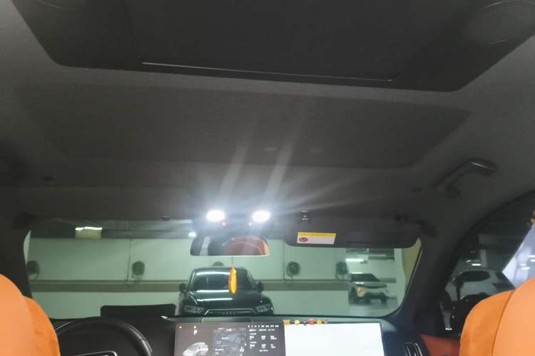 Used Li Auto L9 2022 Max model Headliner