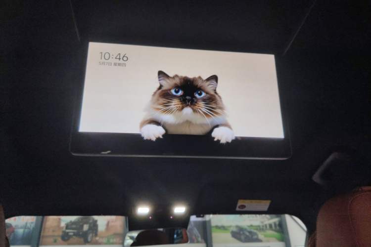 Used Li Auto L9 2022 Max model Headliner