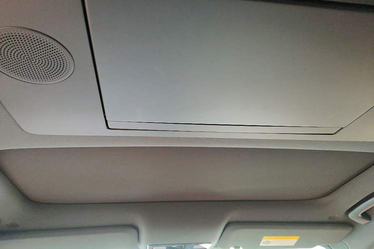 Used Li Auto L9 2022 Max model Headliner