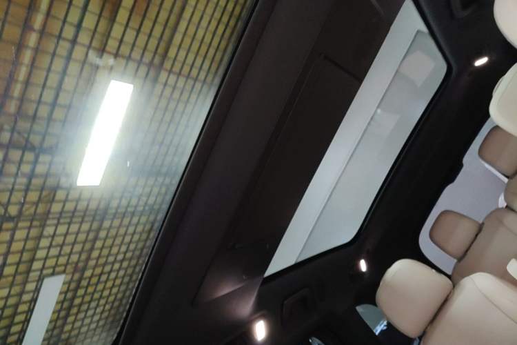 Used Li Auto L9 2022 Max model Headliner