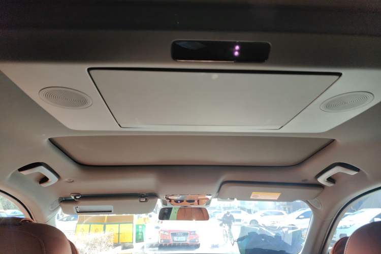 Used Li Auto L9 2022 Max model Headliner