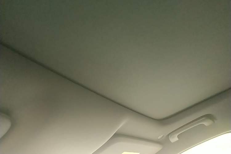 Used Li Auto L9 2022 Max model Headliner