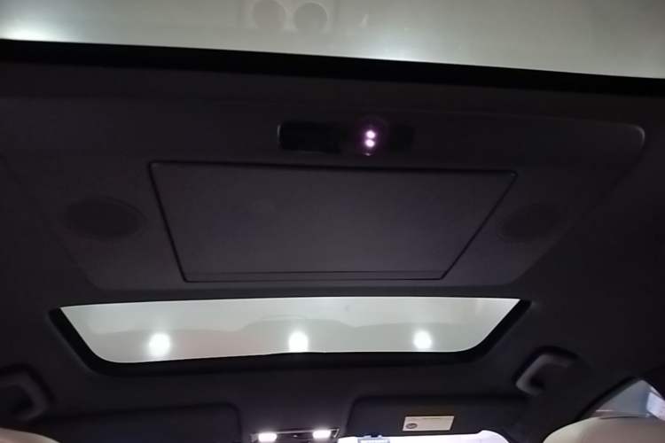 Used Li Auto L9 2022 Max model Headliner