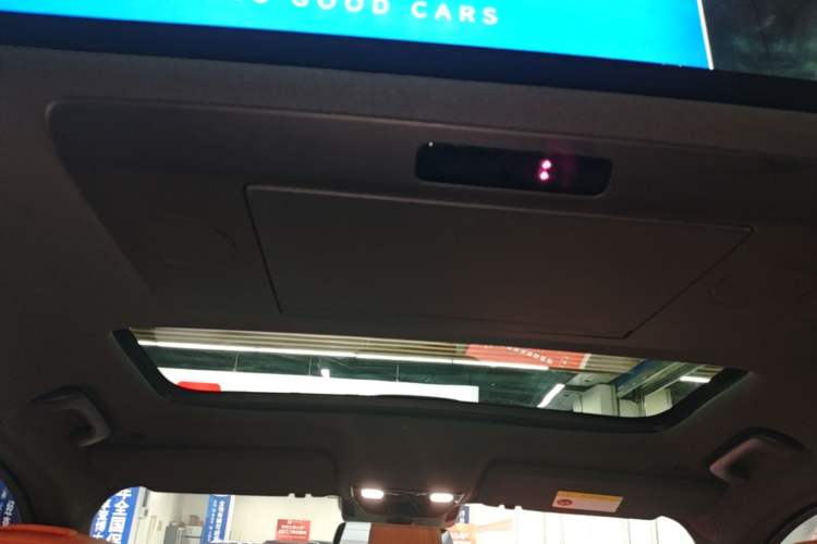 Used Li Auto L9 2022 Max model Headliner