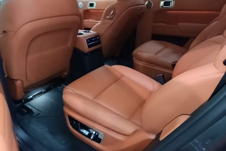 Used Li Auto L9 2022 Max model Left Rear Seat