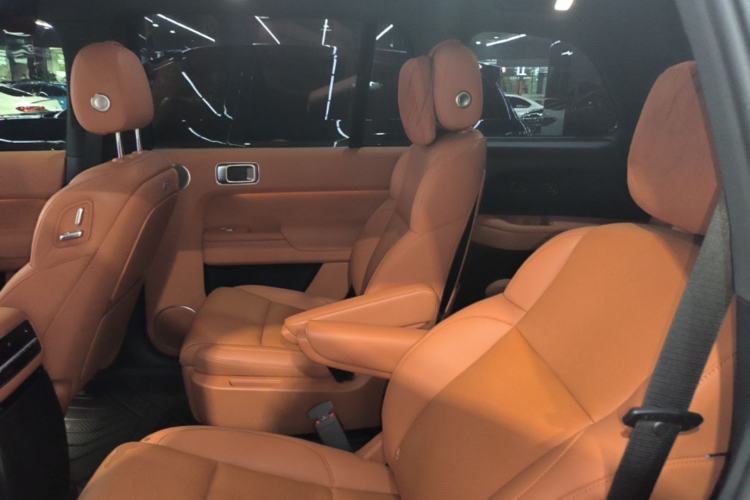 Used Li Auto L9 2022 Max model Left Rear Seat