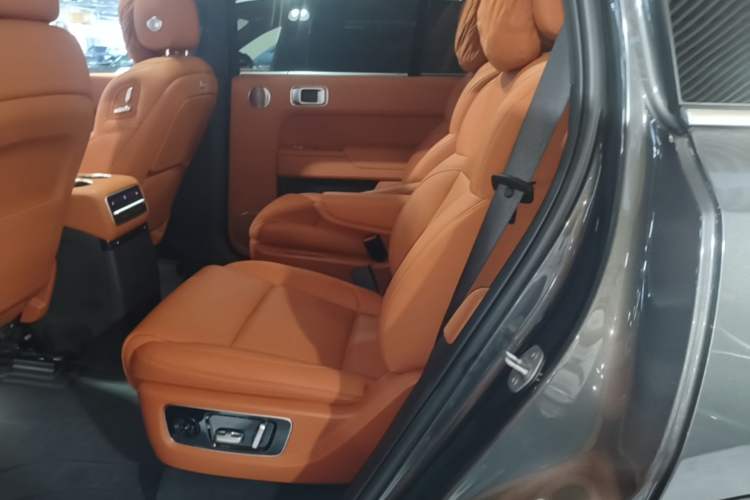 Used Li Auto L9 2022 Max model Left Rear Seat