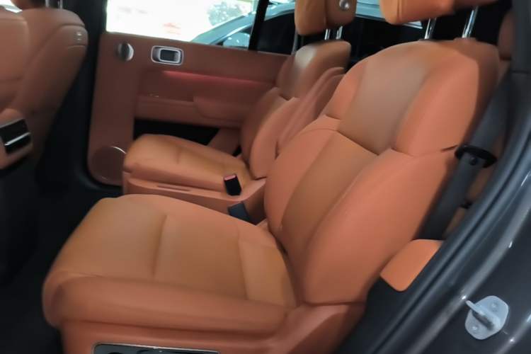 Used Li Auto L9 2022 Max model Left Rear Seat