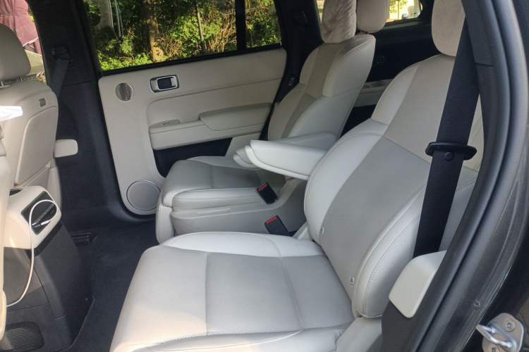 Used Li Auto L9 2022 Max model Left Rear Seat