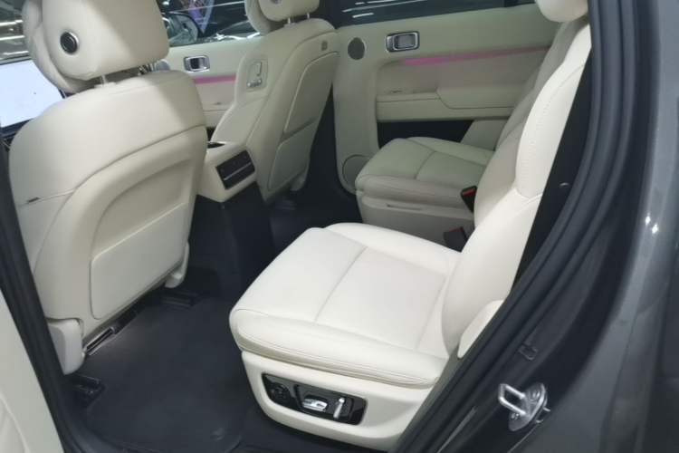 Used Li Auto L9 2022 Max model Left Rear Seat