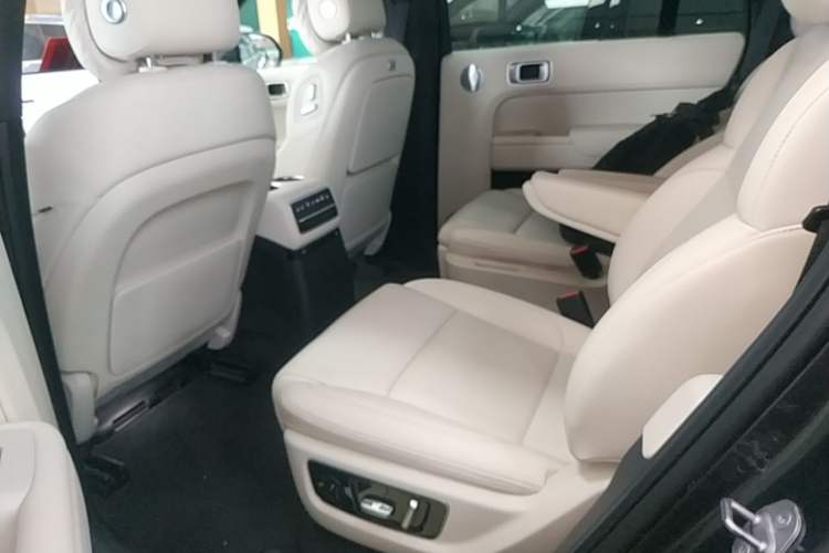 Used Li Auto L9 2022 Max model Left Rear Seat