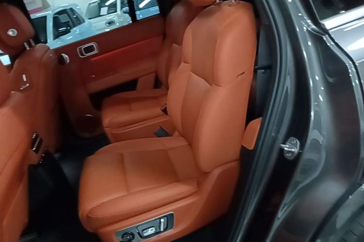 Used Li Auto L9 2022 Max model Left Rear Seat