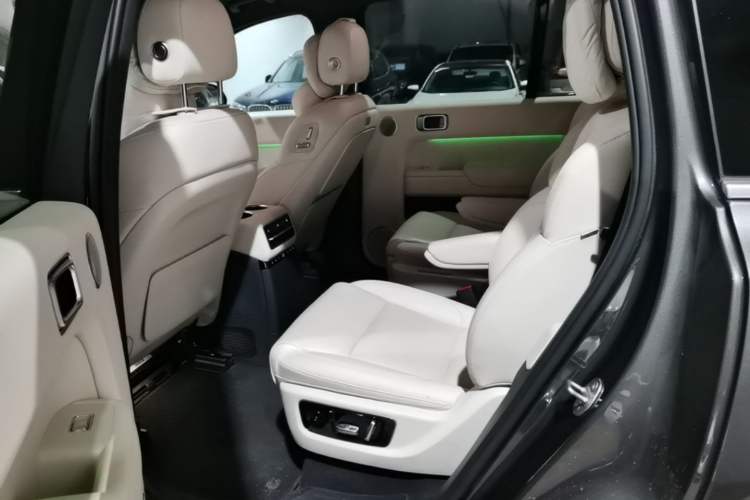 Used Li Auto L9 2022 Max model Left Rear Seat