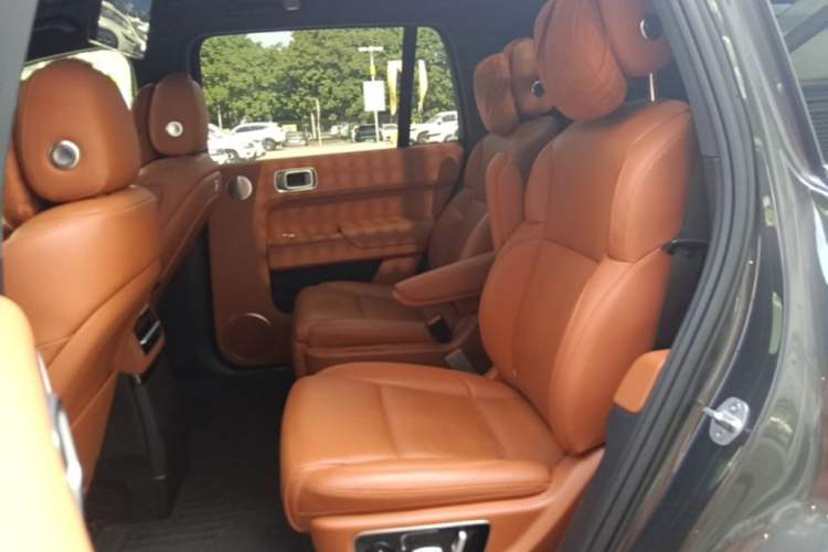 Used Li Auto L9 2022 Max model Left Rear Seat