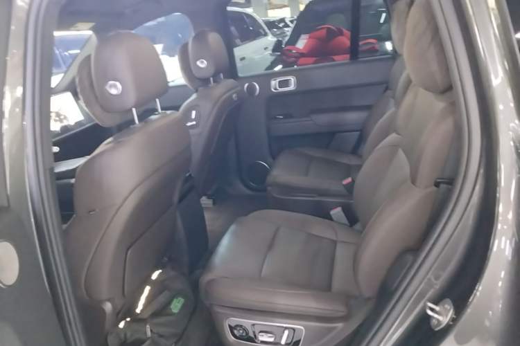 Used Li Auto L9 2022 Max model Left Rear Seat