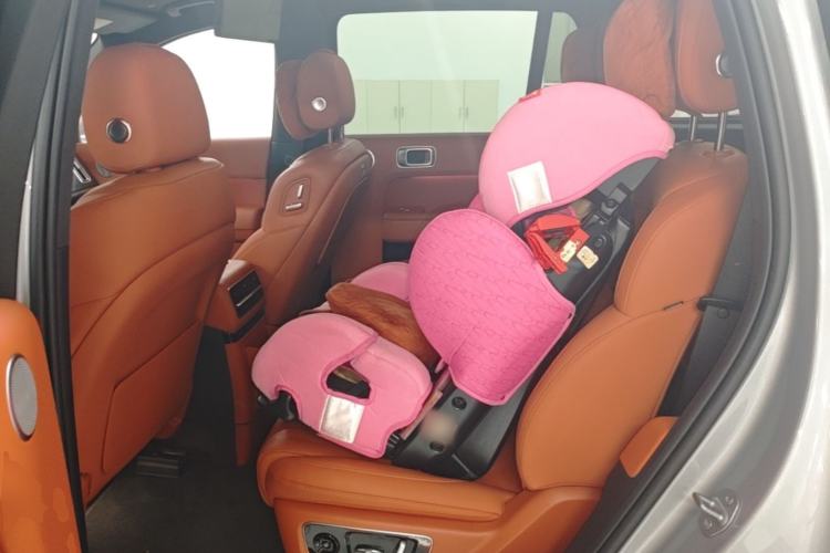 Used Li Auto L9 2022 Max model Left Rear Seat