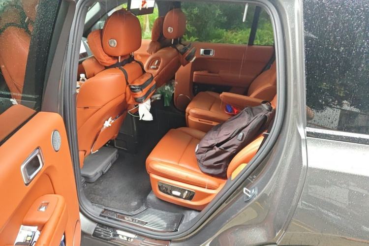 Used Li Auto L9 2022 Max model Left Rear Seat