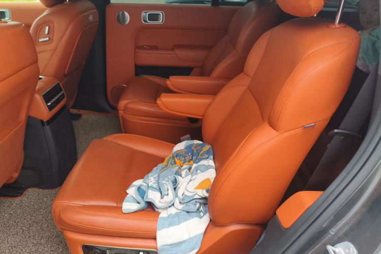 Used Li Auto L9 2022 Max model Left Rear Seat