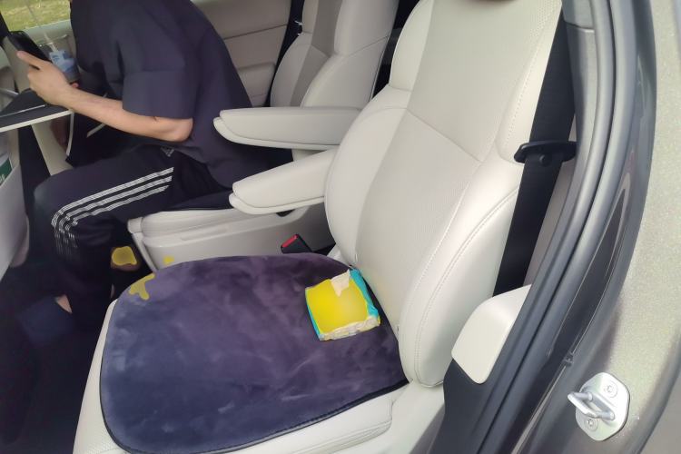 Used Li Auto L9 2022 Max model Left Rear Seat