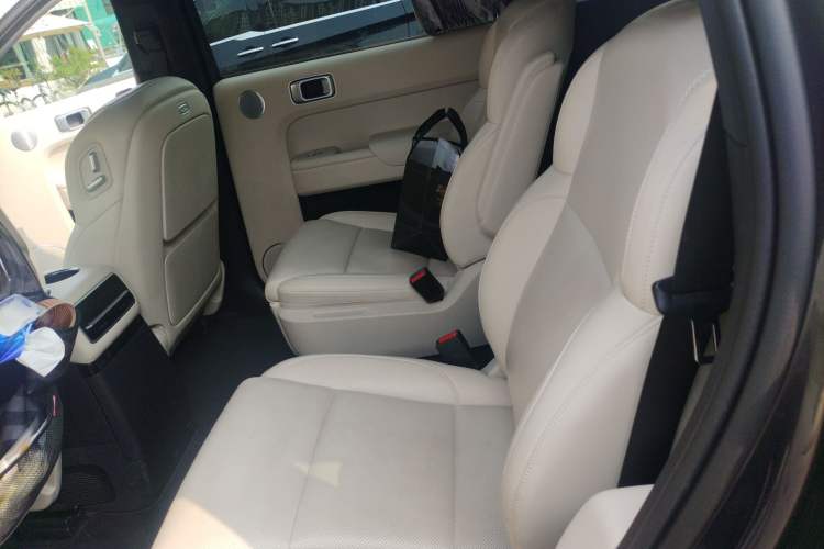 Used Li Auto L9 2022 Max model Left Rear Seat