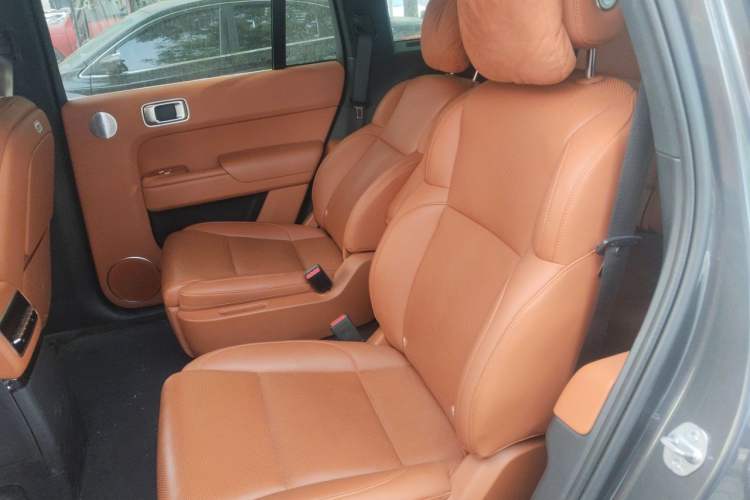 Used Li Auto L9 2022 Max model Left Rear Seat