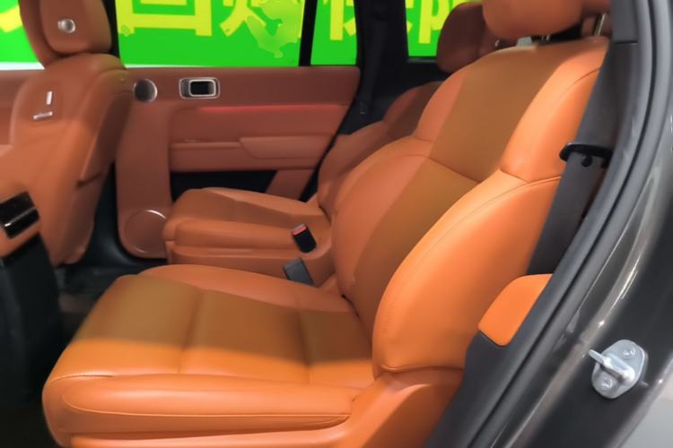 Used Li Auto L9 2022 Max model Left Rear Seat
