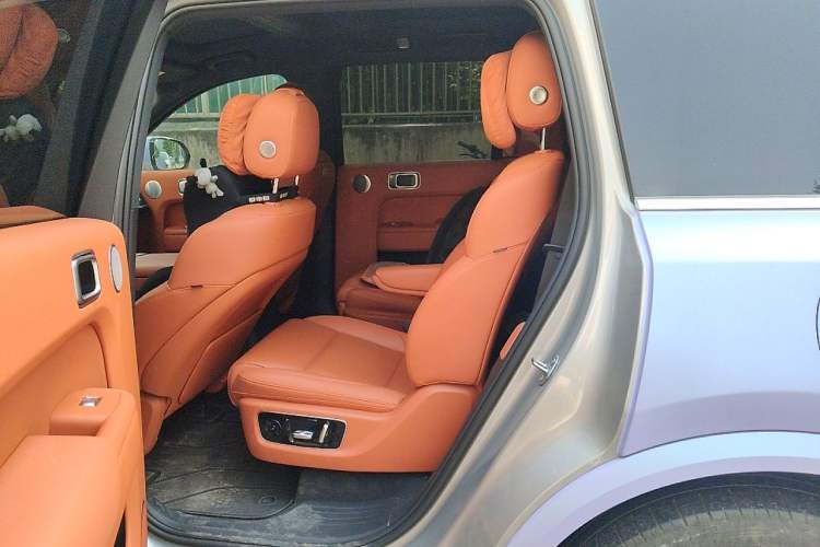 Used Li Auto L9 2022 Max model Left Rear Seat