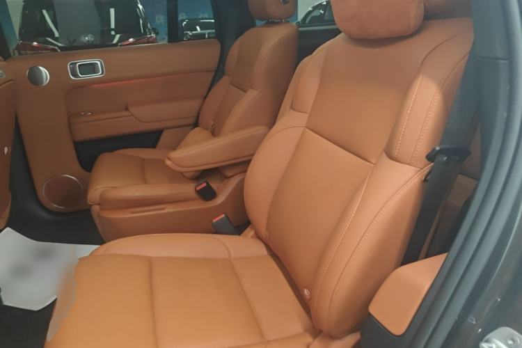 Used Li Auto L9 2022 Max model Left Rear Seat