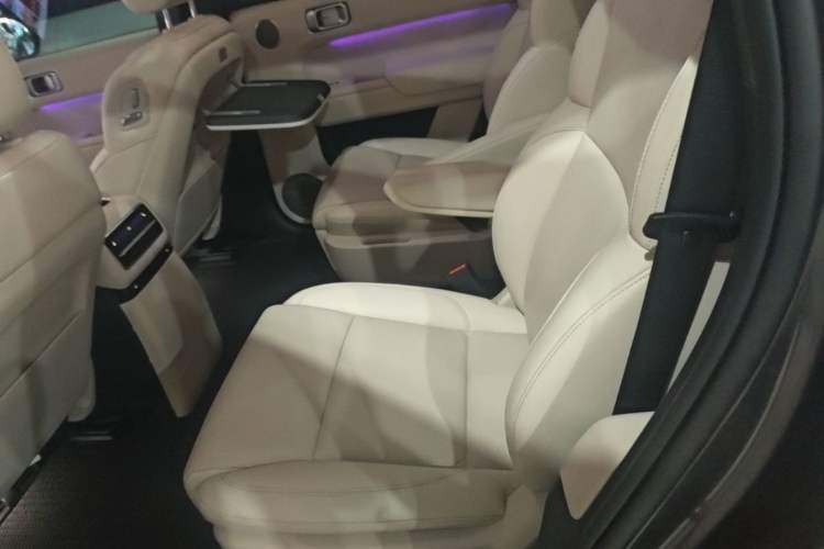 Used Li Auto L9 2022 Max model Left Rear Seat