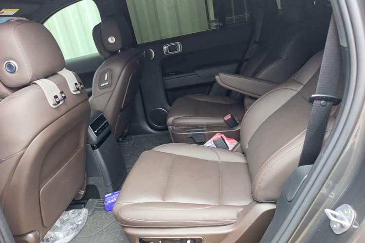 Used Li Auto L9 2022 Max model Left Rear Seat