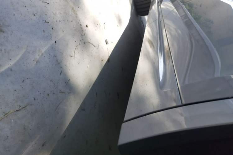 Used Li Auto L9 2022 Max model Left Side Sill