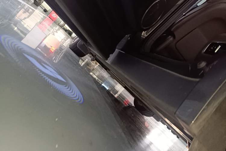 Used Li Auto L9 2022 Max model Left Side Sill