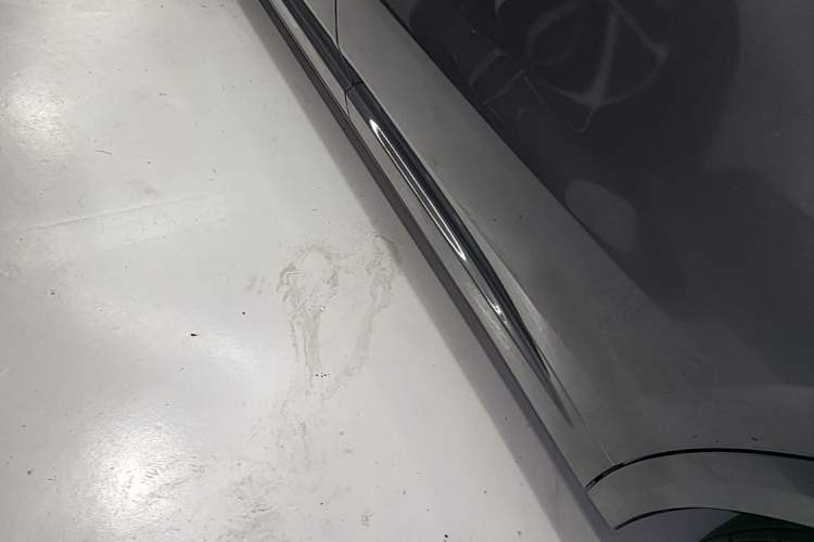 Used Li Auto L9 2022 Max model Left Side Sill
