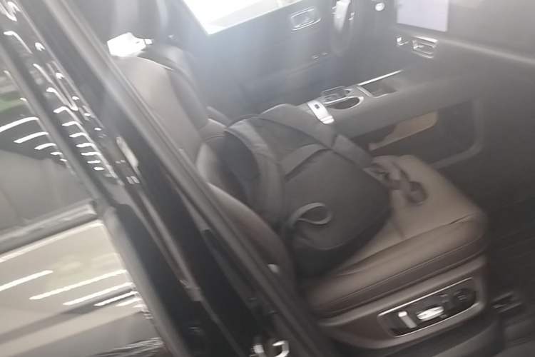 Used Li Auto L9 2022 Max model Right Front Seat