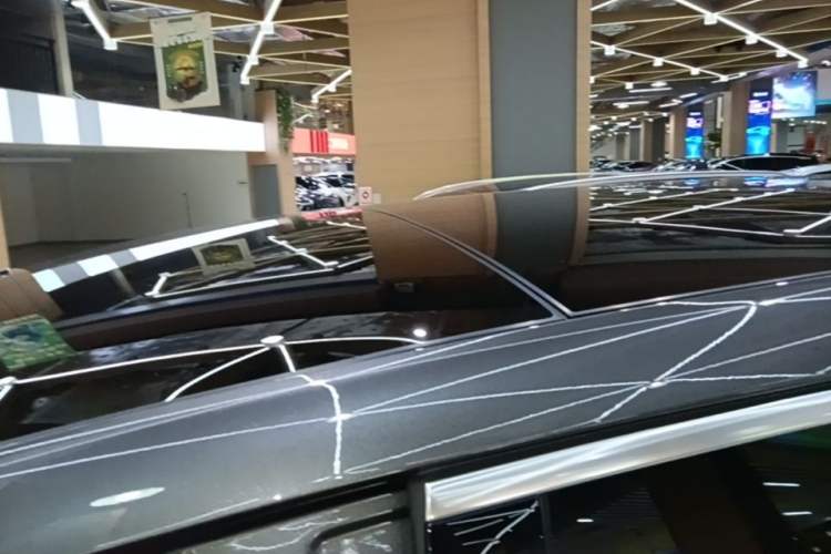 Used Li Auto L9 2022 Max model Roof