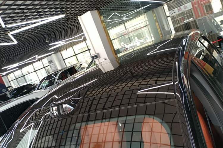 Used Li Auto L9 2022 Max model Roof