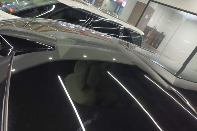 Used Li Auto L9 2022 Max model Roof