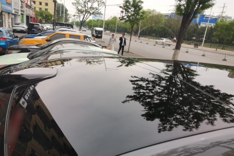 Used Li Auto L9 2022 Max model Roof