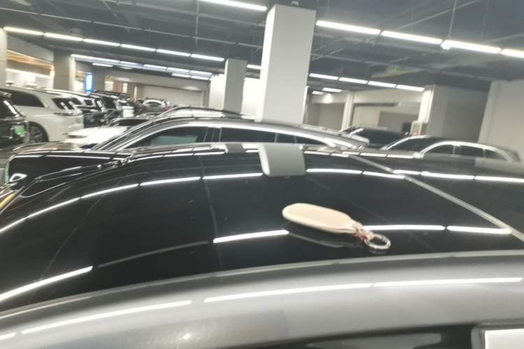 Used Li Auto L9 2022 Max model Roof