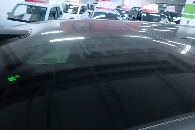 Used Li Auto L9 2022 Max model Roof