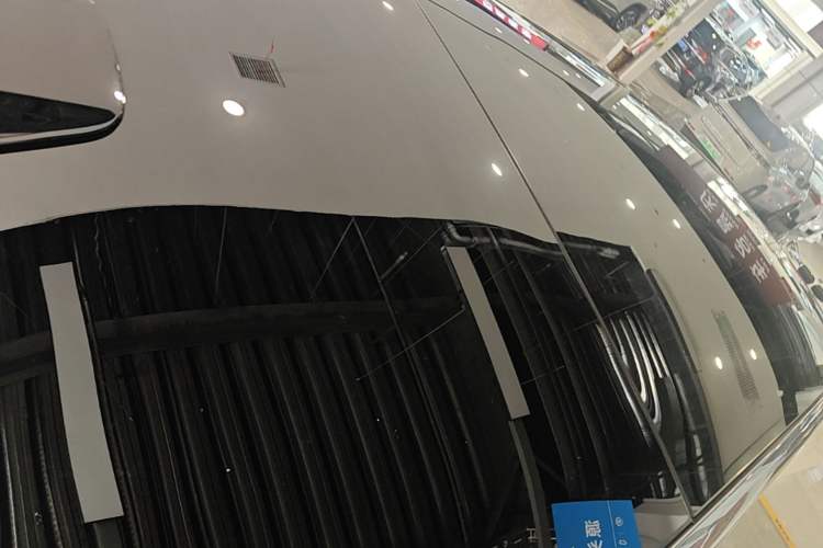 Used Li Auto L9 2022 Max model Roof