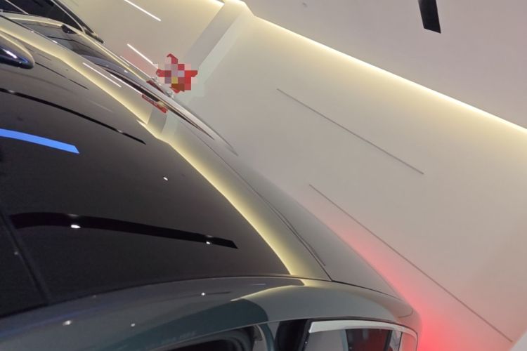 Used Li Auto L9 2022 Max model Roof
