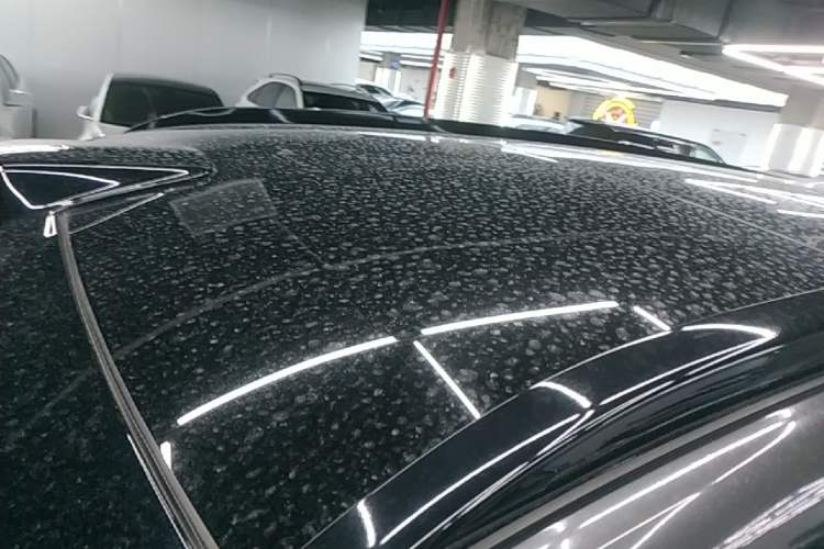 Used Li Auto L9 2022 Max model Roof